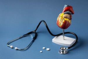 Model of the human heart beside a stethoscope