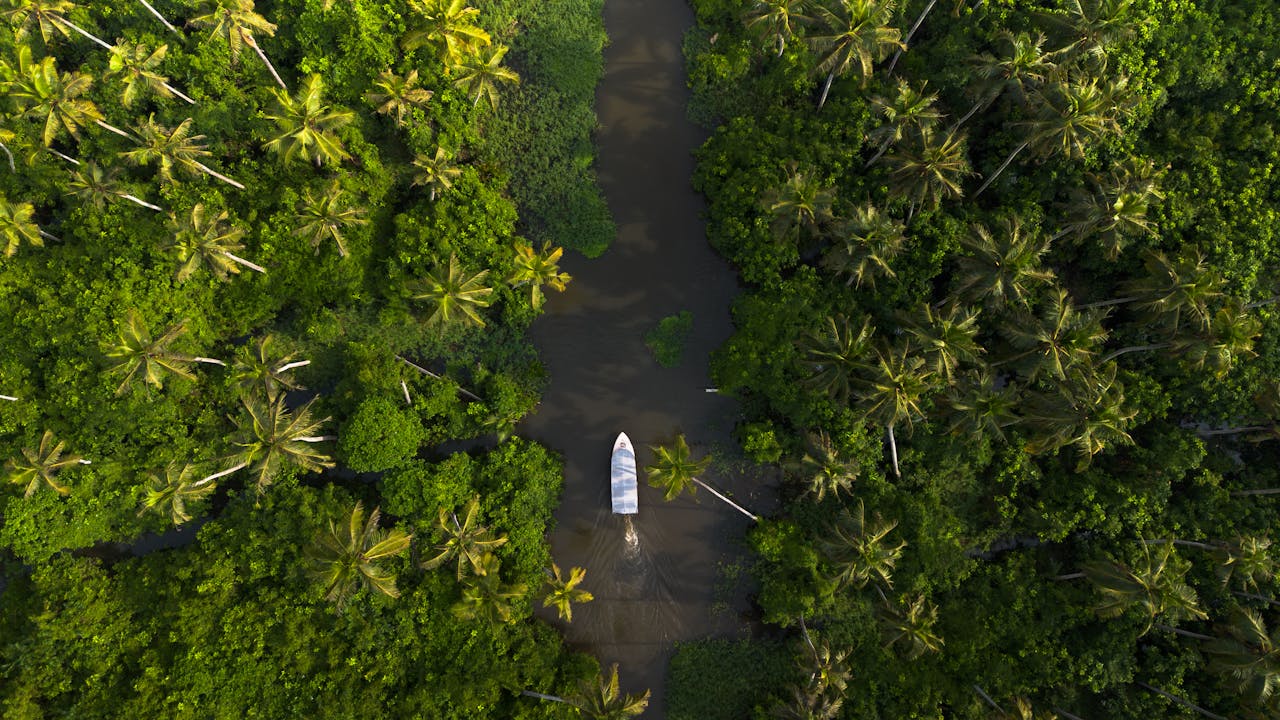Backwaters of Kerala.