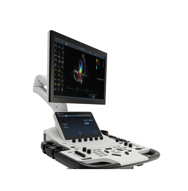 Vivid T Series Ultra Edition ultrasound system
