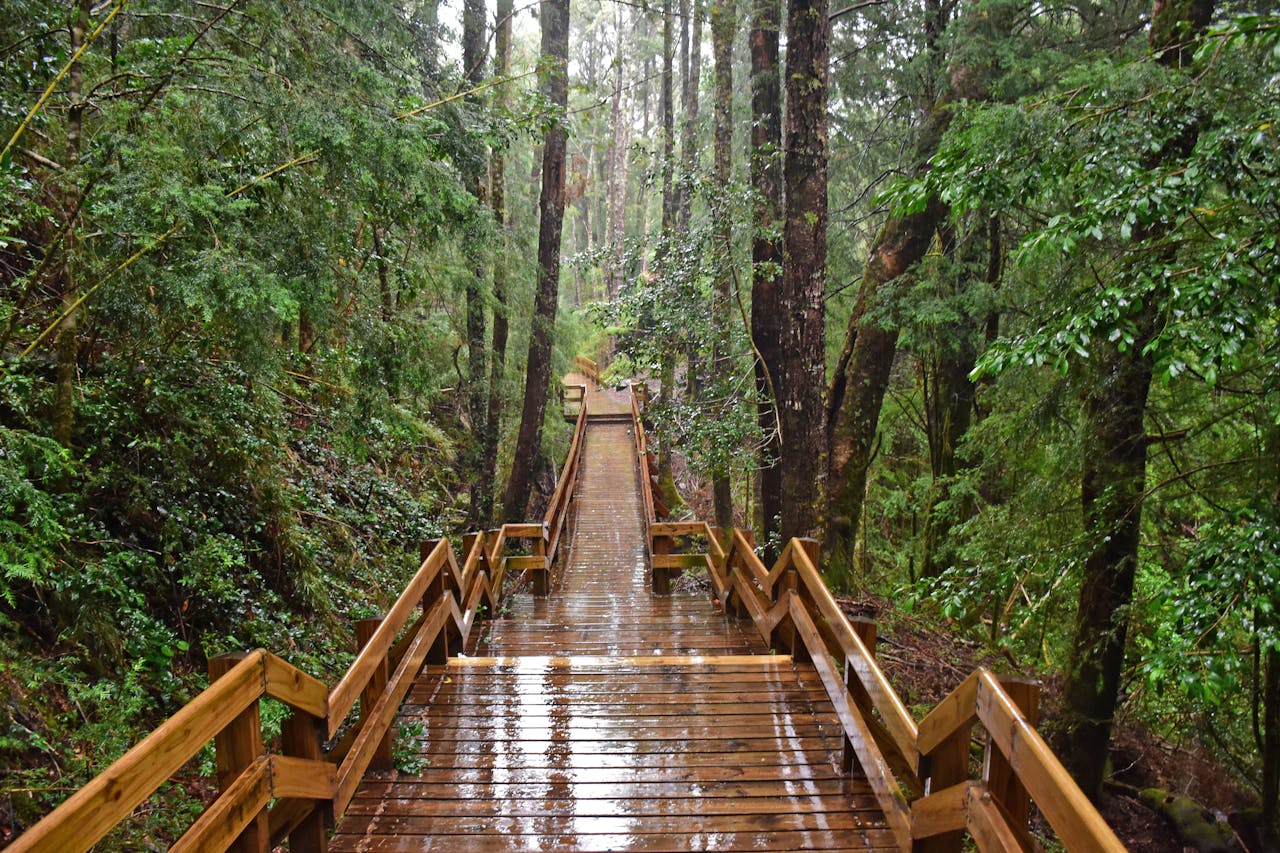Health benefits of spending time in nature
