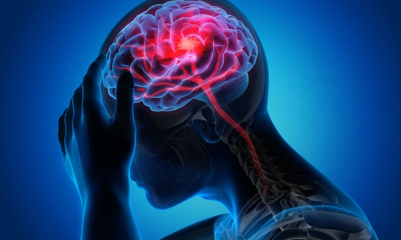 Image of a human brain. Preventive healthcare in India